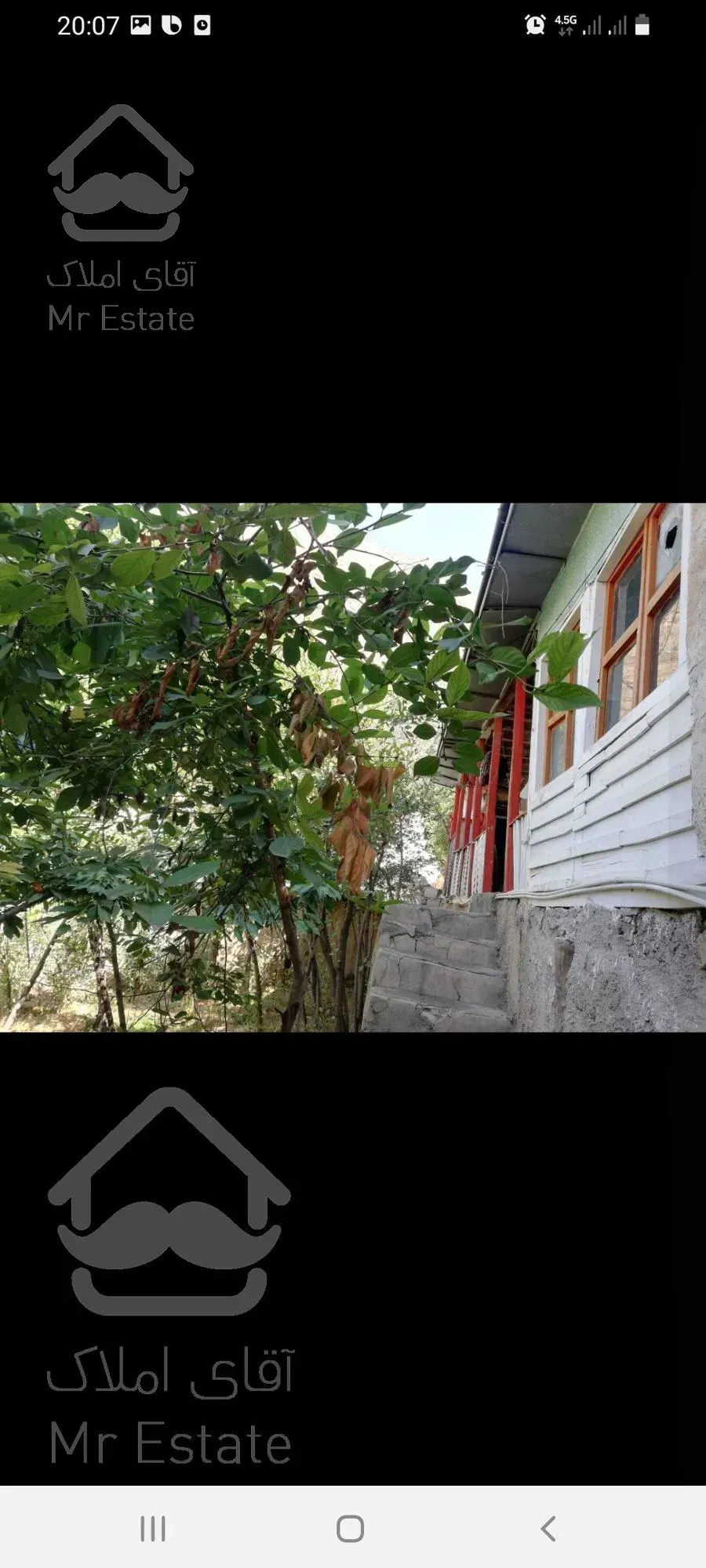 باغ گردو در روستای امیری آمل