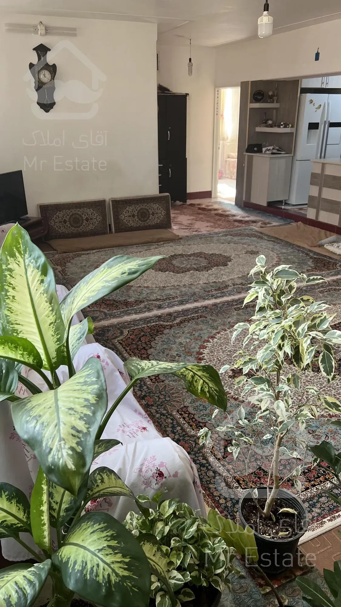 ۱۰۰ متر غرق نور البرز