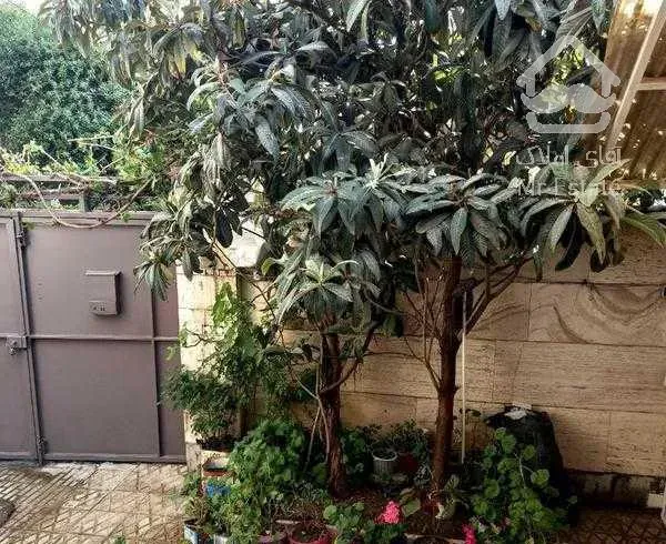 ویلایی سند دار تک برگ عرض ۸متر نیم طول ۱۶