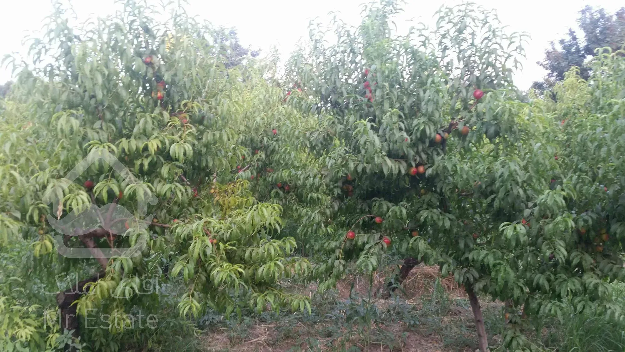 زمین در تهراندشت، سرخاب، قاسم آباد آقا بورس ترین منطقه