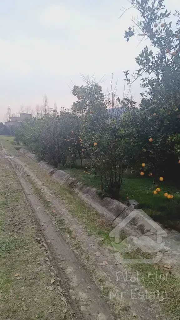 ۸۵۰ متر زمین در بابلکنار