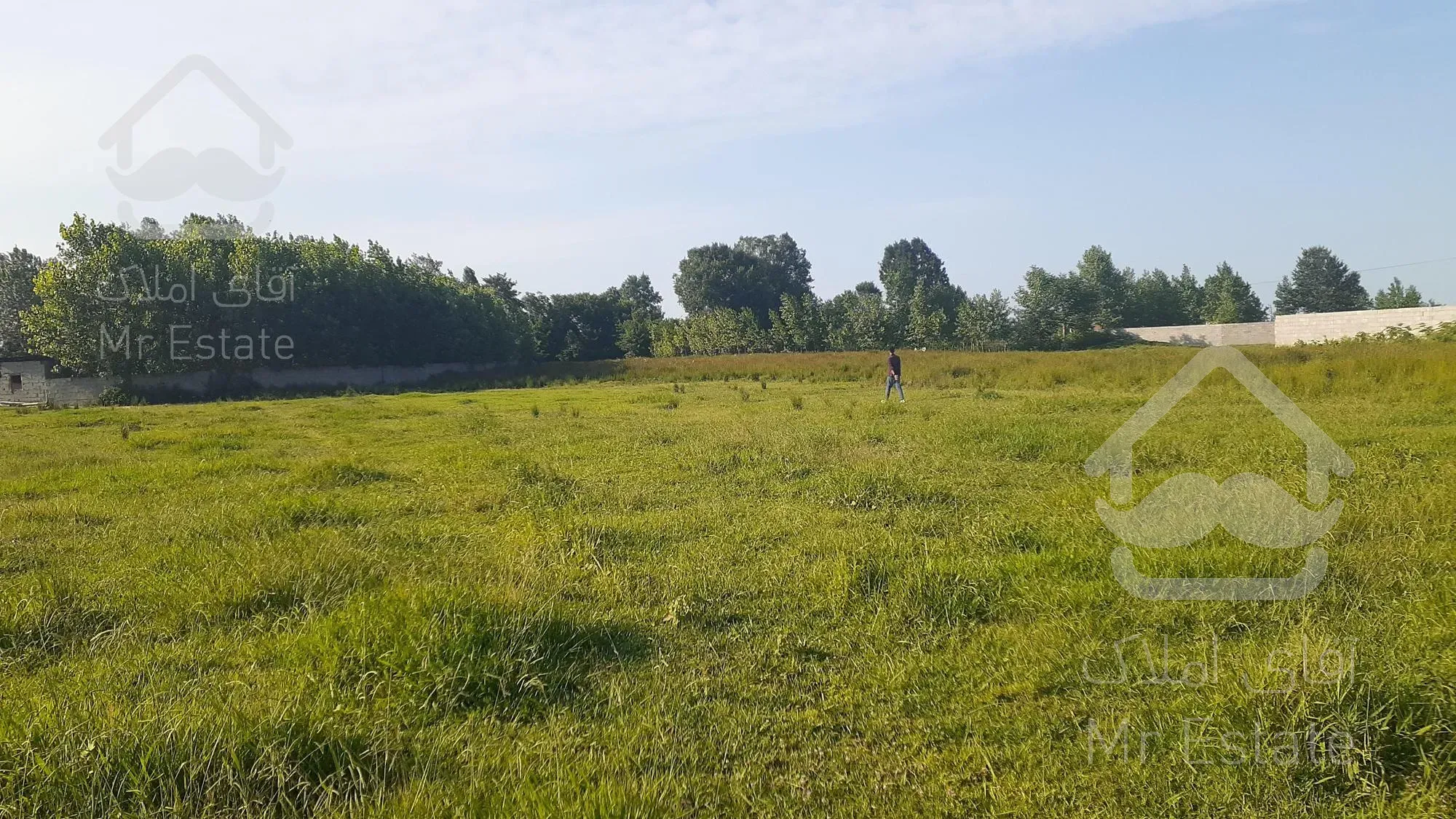 زمین باغات 538 متری