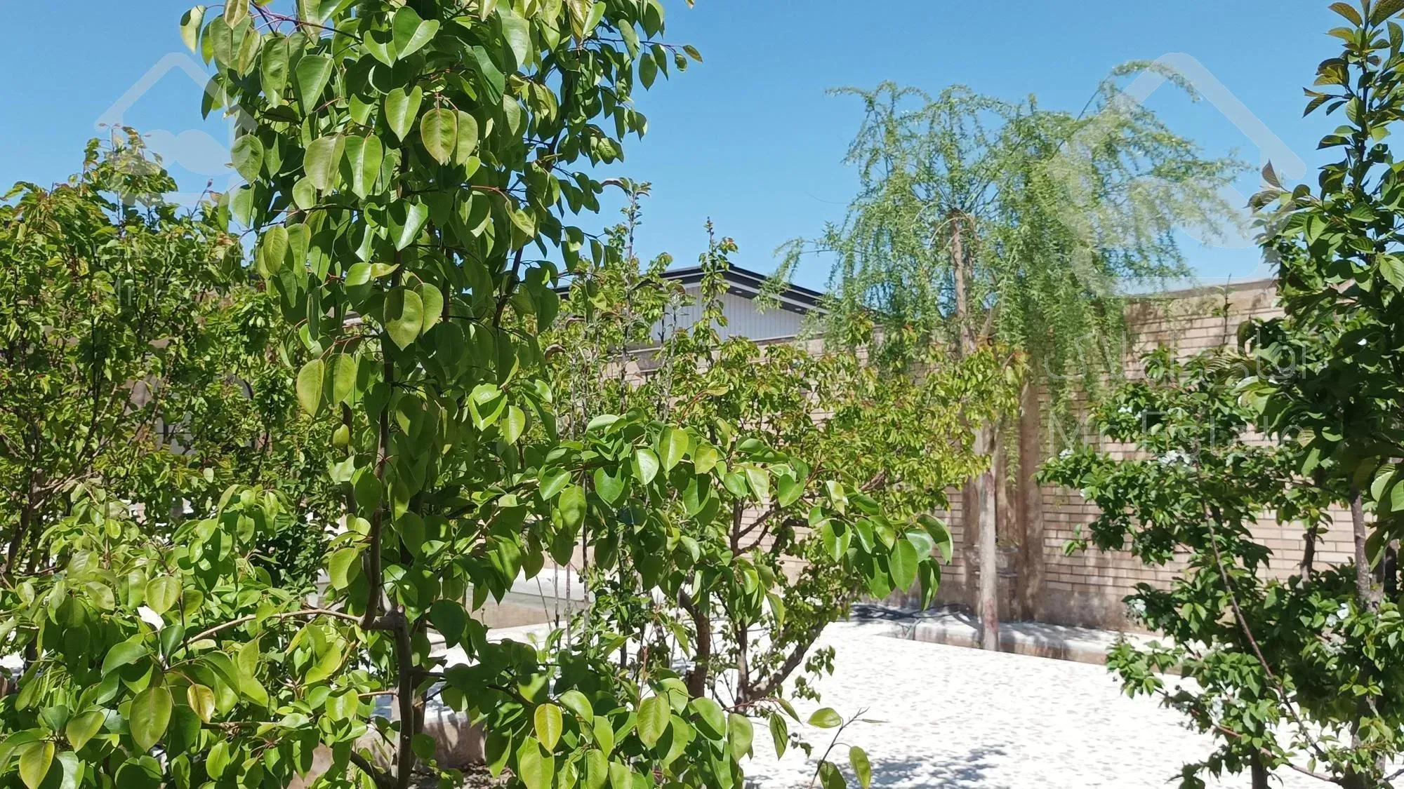 باغ ویلا 600 متری لم آباد