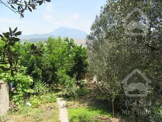 *ویلا باغ 300 متری 3 خوابه  *شمال گیلان *