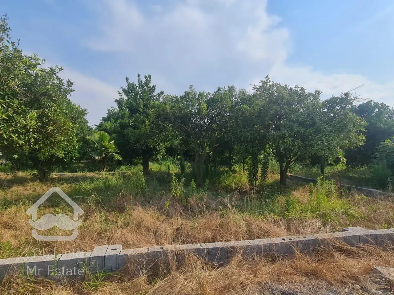 242متر زمین واقع در چناربن تنکابن