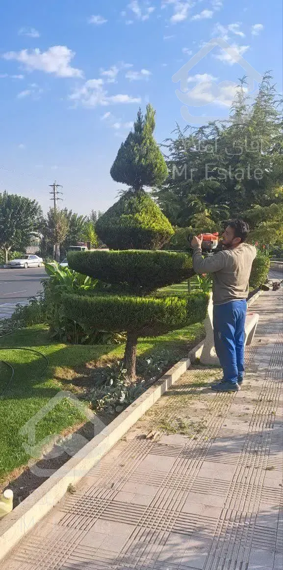 باغبانی . کاشت، حفظ ونگهداری گل و گیاه