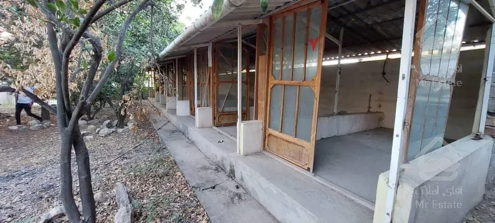 زمین مسکونی/ کافه /سند تکبرگ