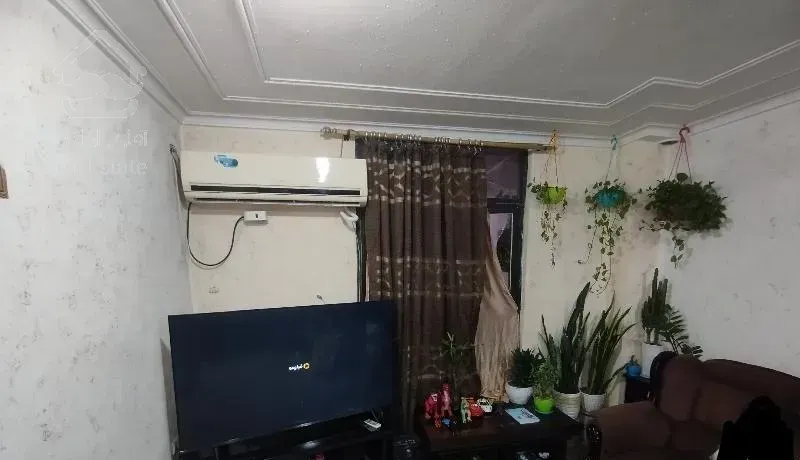 تک واحدی/سر اصلی /۱۰۰ متری /کوی قدس بهار ۷/