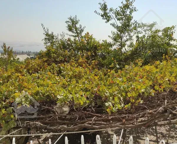 ۲۲۰ متر آپارتمان کوی لاله رهن و اجاره