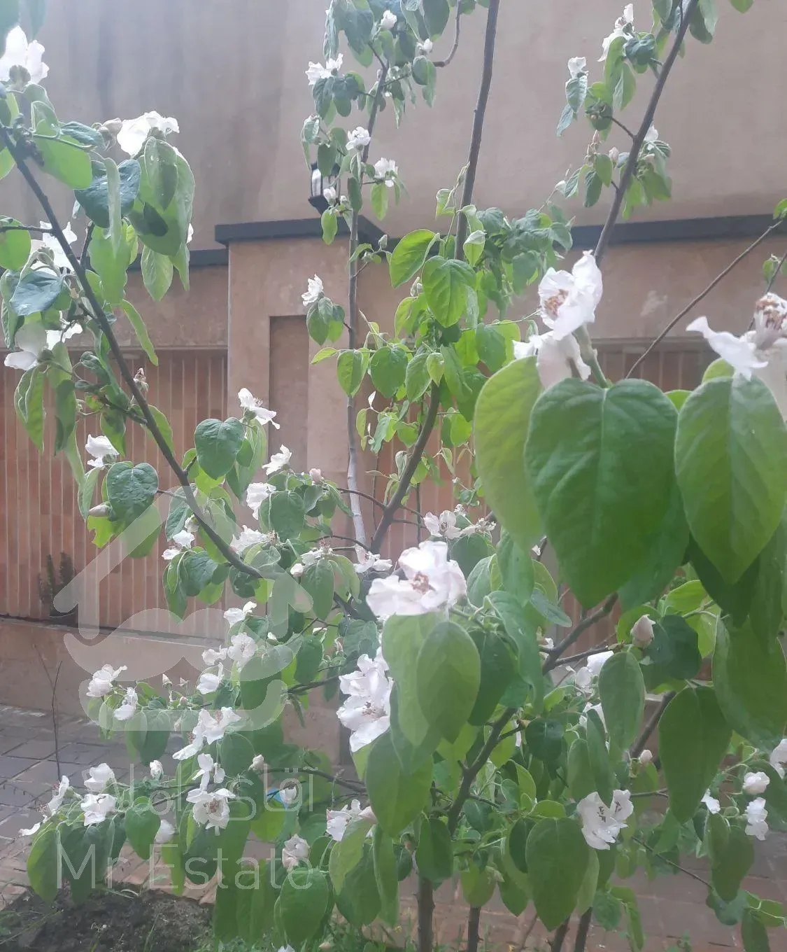 فروش آپارتمان ۱۳۰ متری/ ۳ خوابه/ کلید نخورده