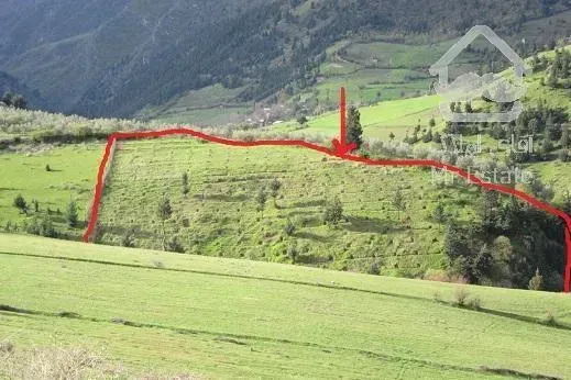 باغ 10000 متری کنار رود روستا ویو عالی