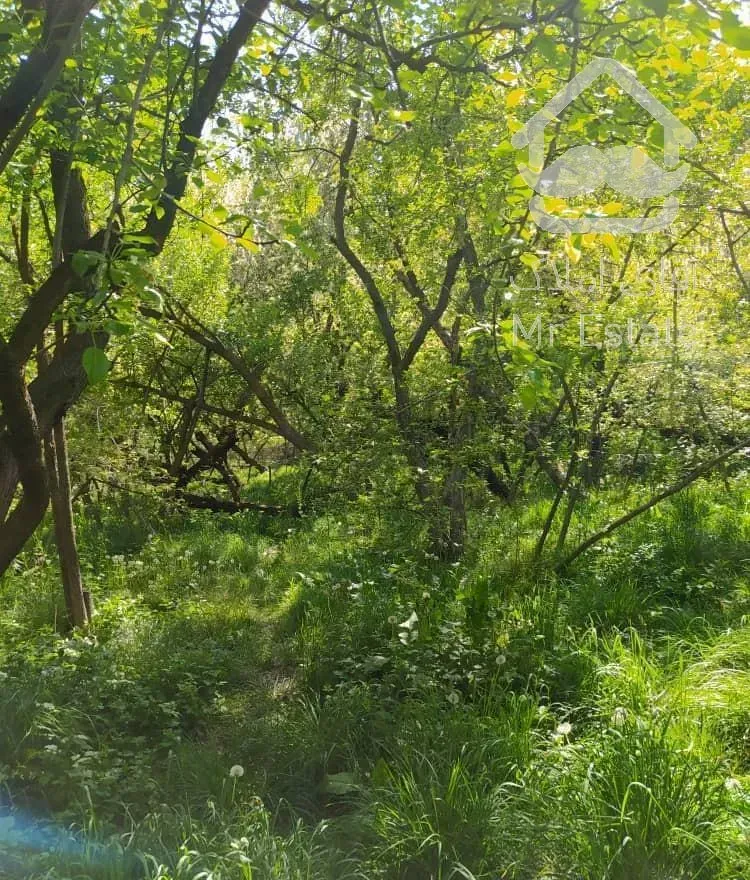 ویلا باغ خوش منظره