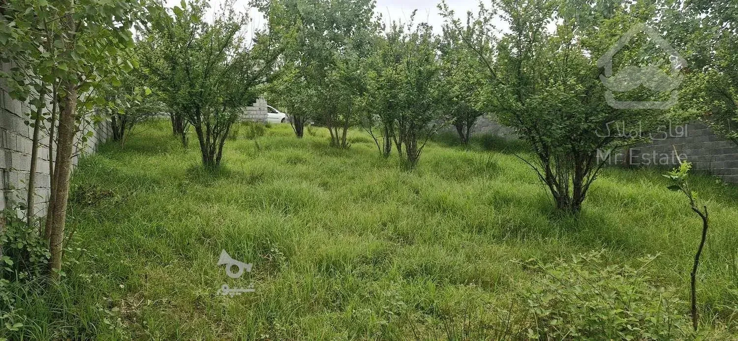 زمین مسکونی باغ