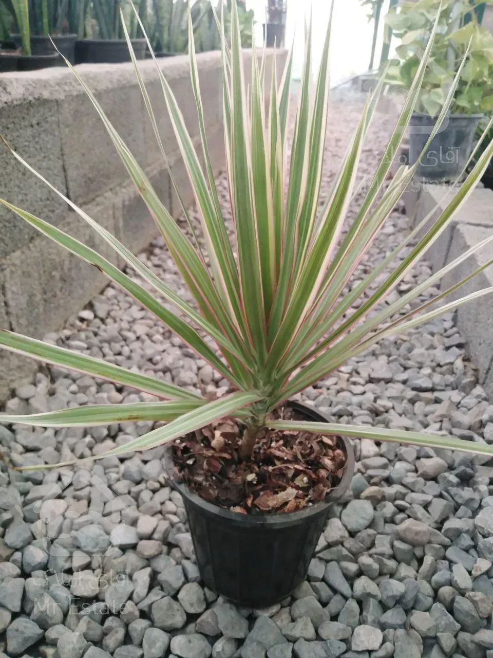 فروش گلخانه ،،سقف متحرک