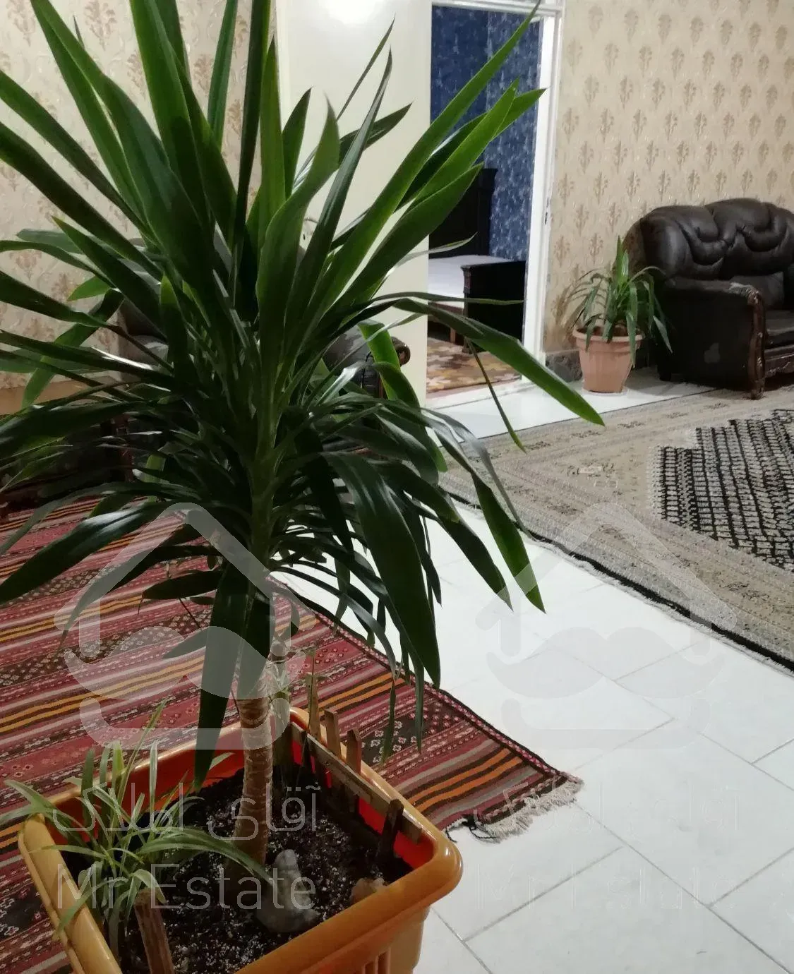 طبقه همکف دوخوابه مبله