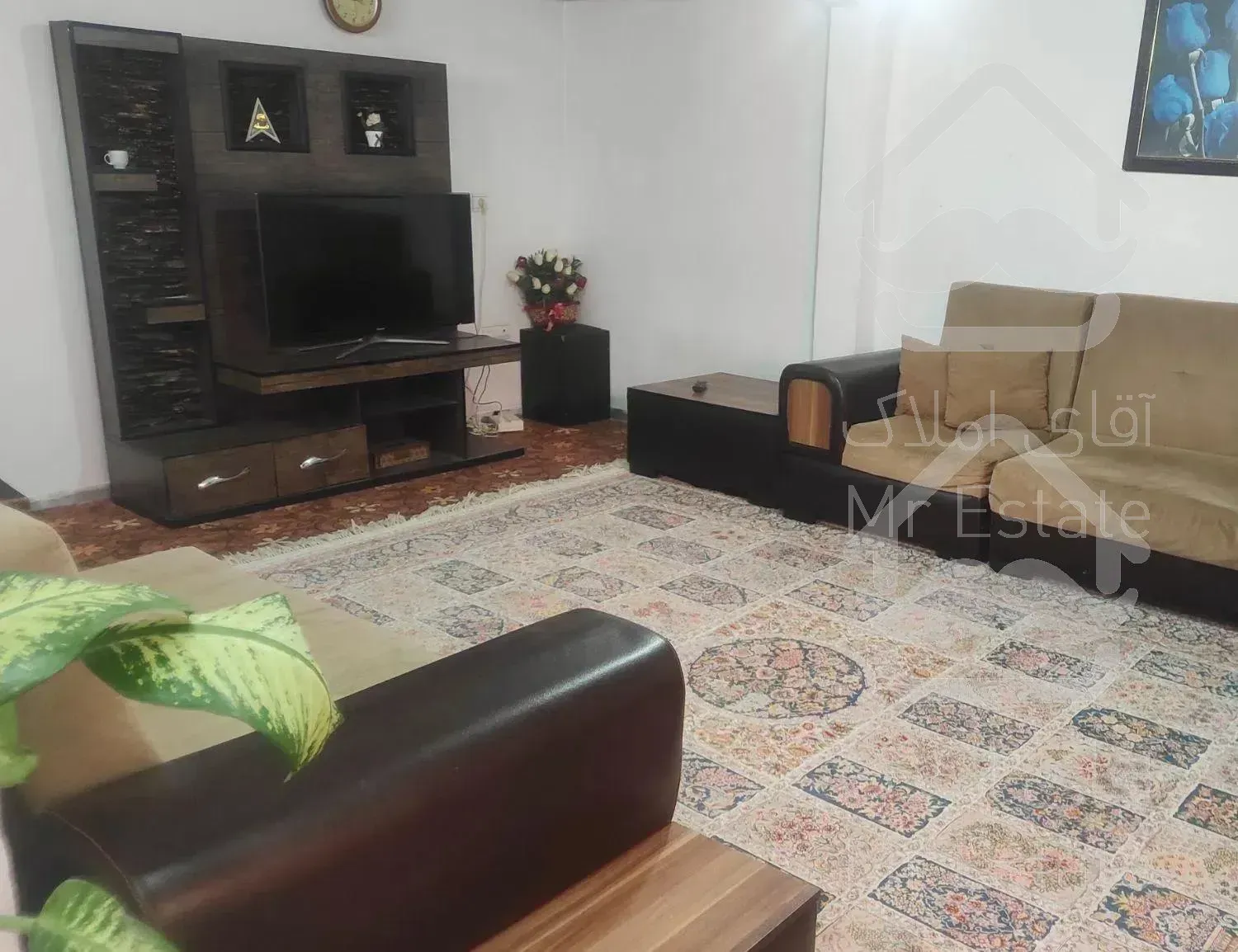 دربست شیک و تمیز شهری