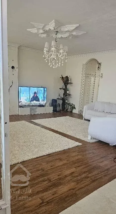 فروش بلوک کامل صدف