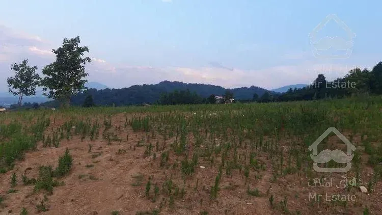 فروش زمین هکتاری جنگلی دارای کاربری