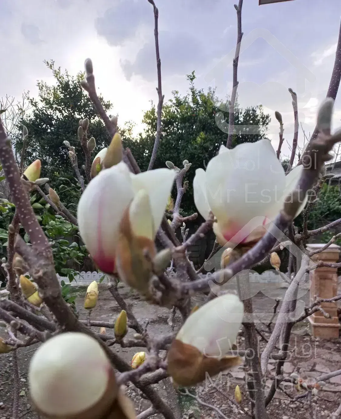 ویلای نوساز  تمیز دربست سرولات