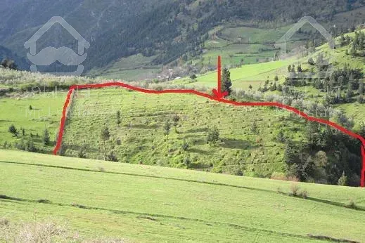 *فروش باغ 10000متردر کنار رود  روستا * شمال گیلان با چشم انداز عالی*