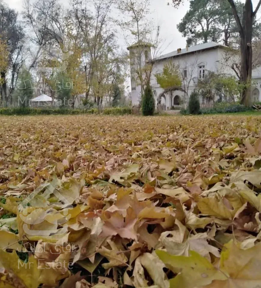 کاخ ویلا۳۵۰۰۰متری، استخردار