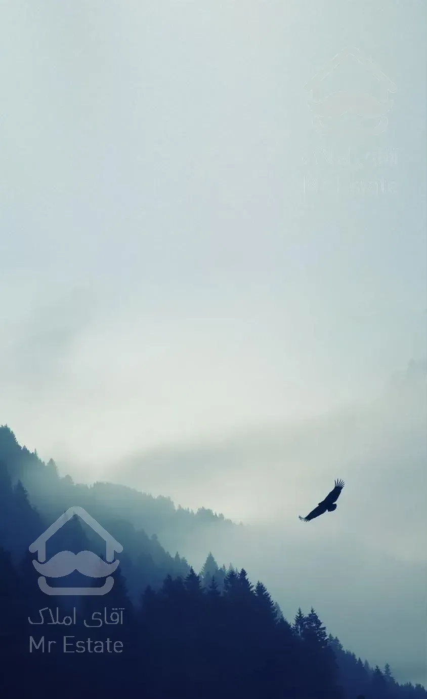 ویلایی ۴ رو پیلوت