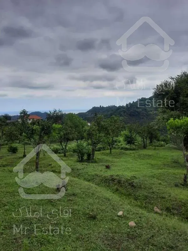 زمین  21000 متر_مناسب ساخت وساز_ رامسر