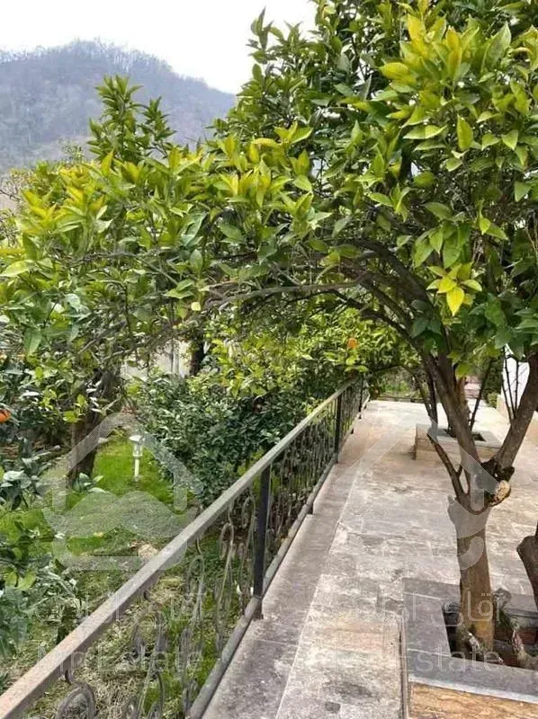 ویلا 1500 متری استخر و جکوزی دار_ ویو جنگل