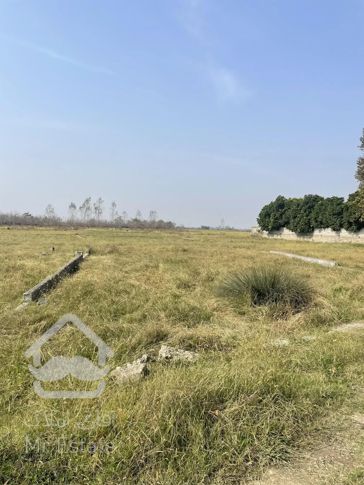 با ۳۰۰ میلیون صاحب زمین شوید