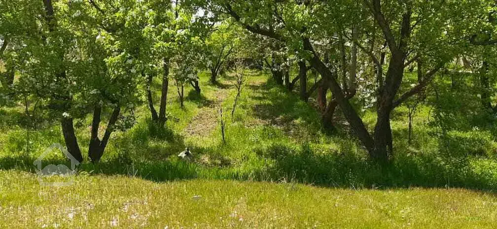 زمین در تهراندشت، سرخاب، قاسم آباد آقا بورس ترین منطقه