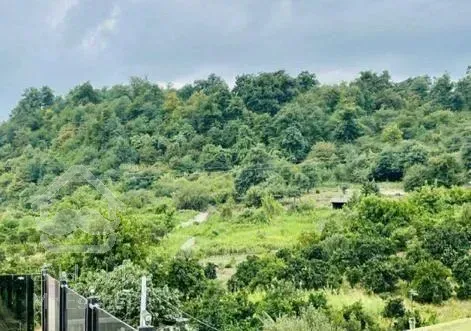 عمارت فورلکس 800متری دل جنگل