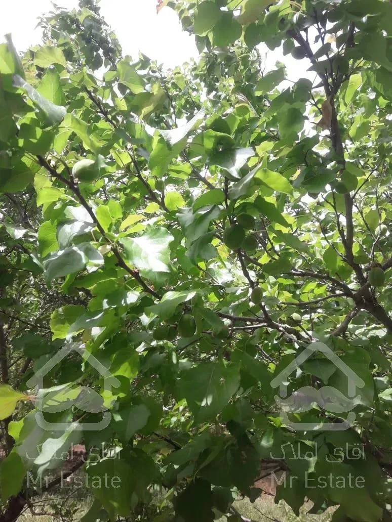 فروش ۱۰۰۰متر باغ حوالی زاینده رود