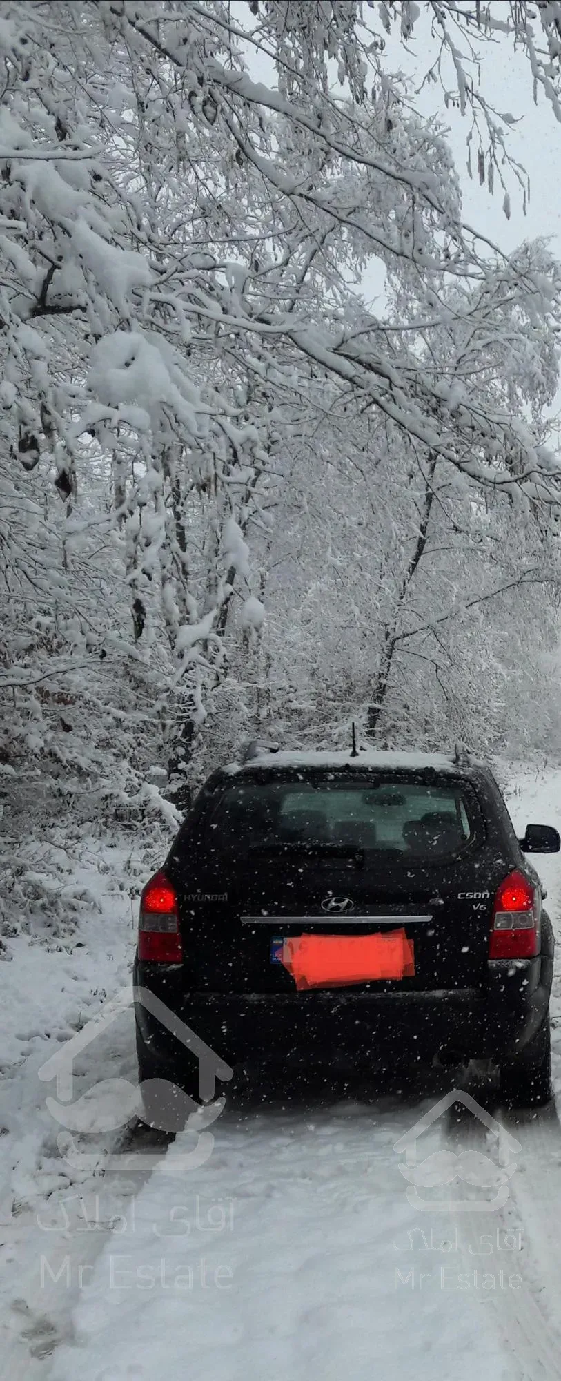 زمین  سوادکوه(بافت)