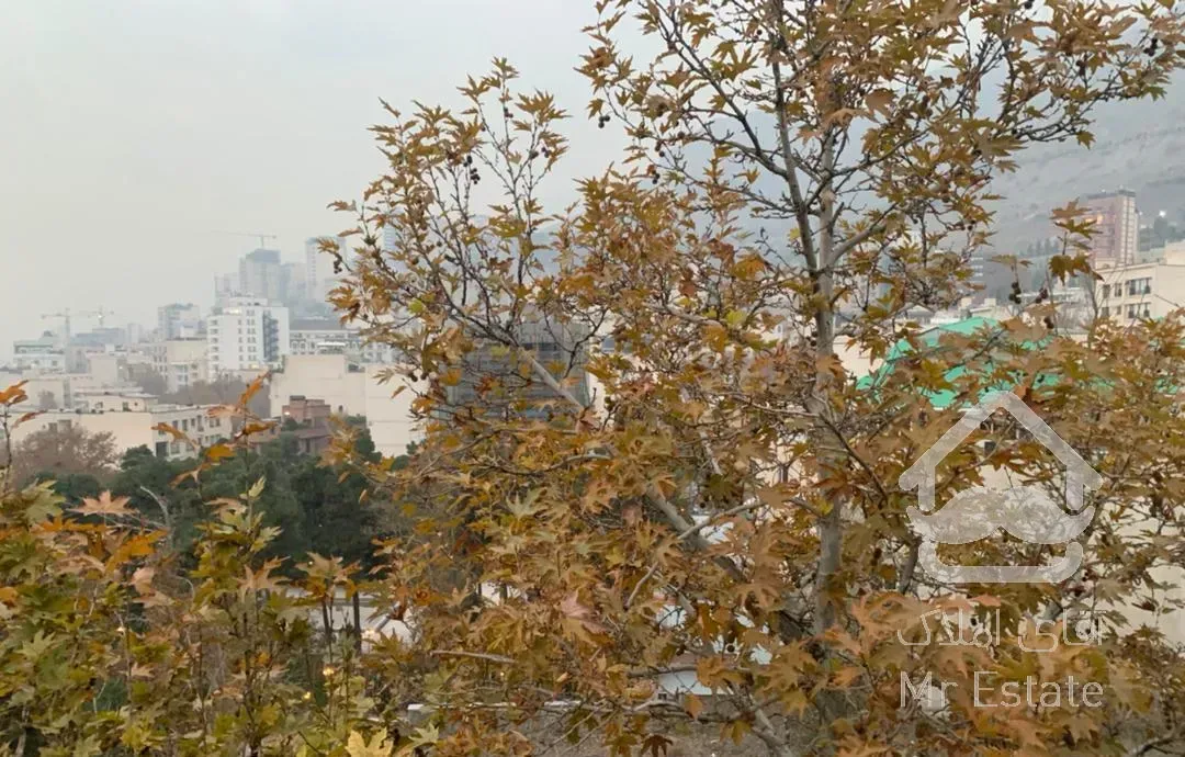 ۲۳۰ متر یکی از  ساختمانهای منطقه