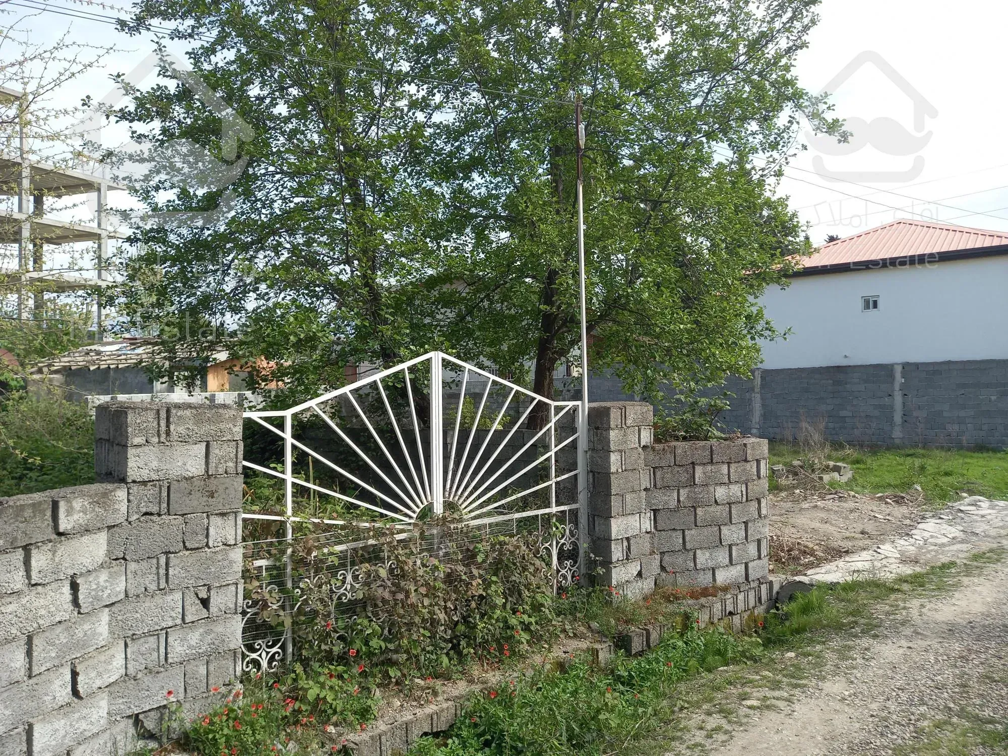 خریدار زمین 350متر