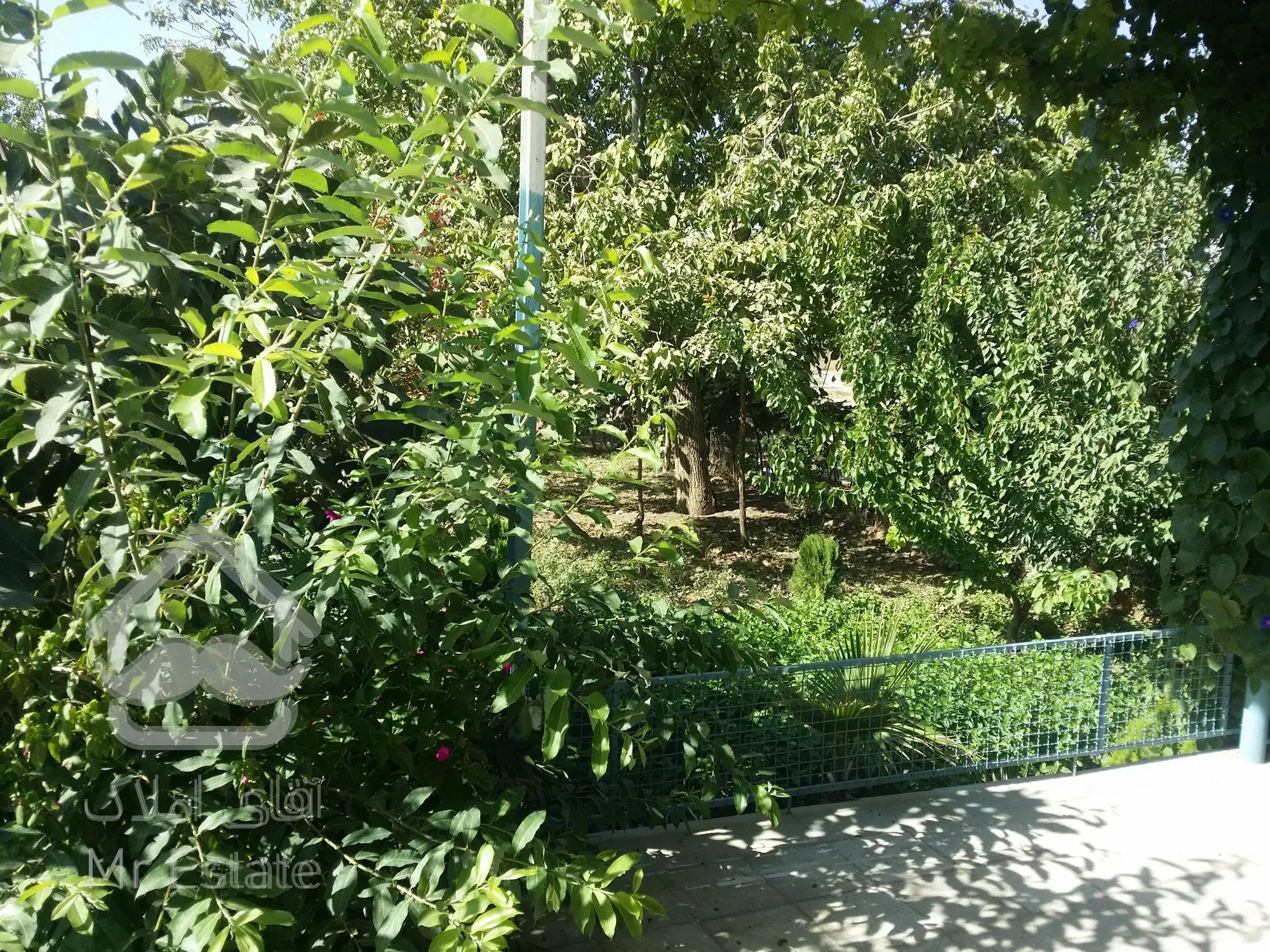 فروش زمین کشاورزی آبی - باغ با برق سه فاز شخصی در شهرستان صحنه