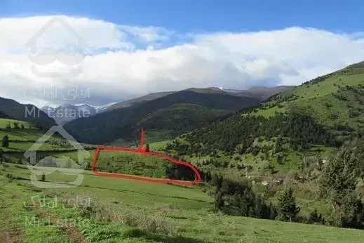 باغ 10000 متری کنار رود روستا ویو عالی