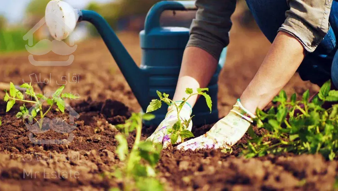 خدمات باغبانی عمو نوروز سرتا سر تهران