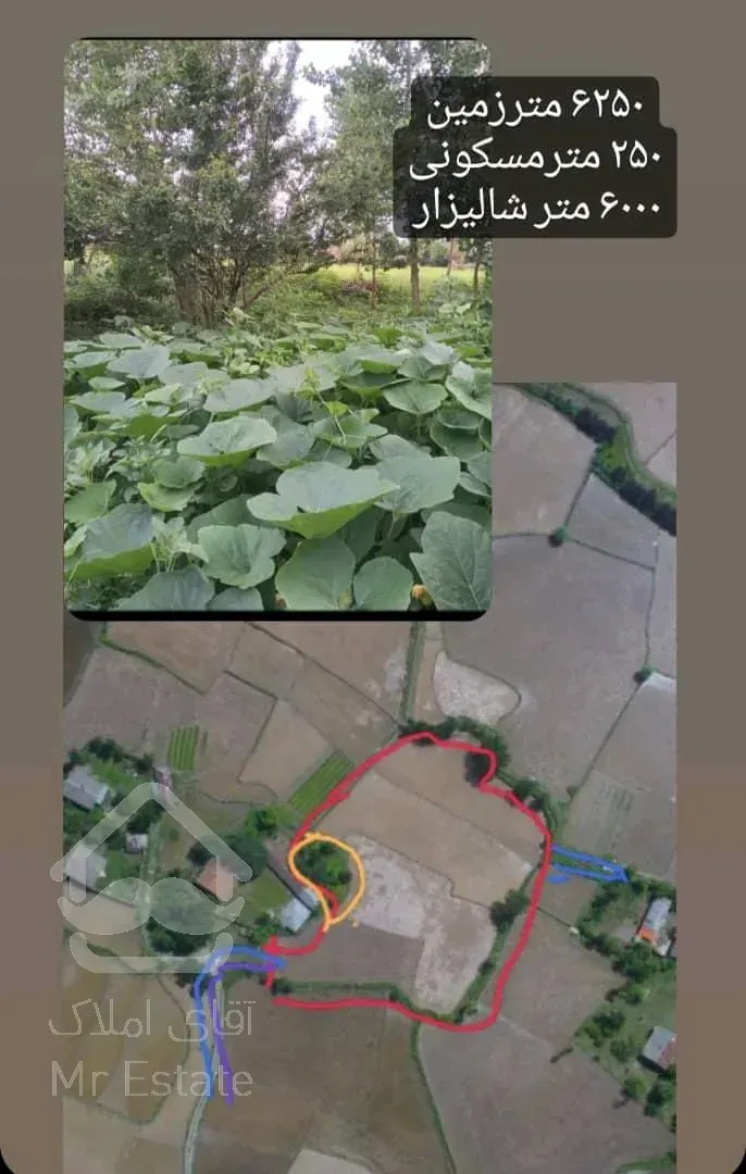 فروش زمین 6/250مترمربع رشت ، سنگر