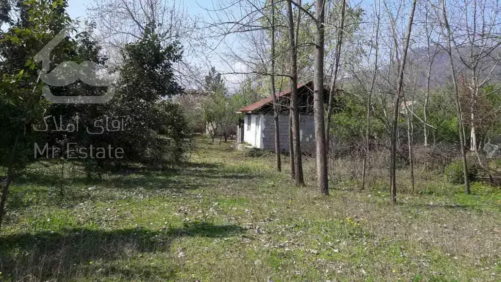 زمین در گیلان با درختان میوه