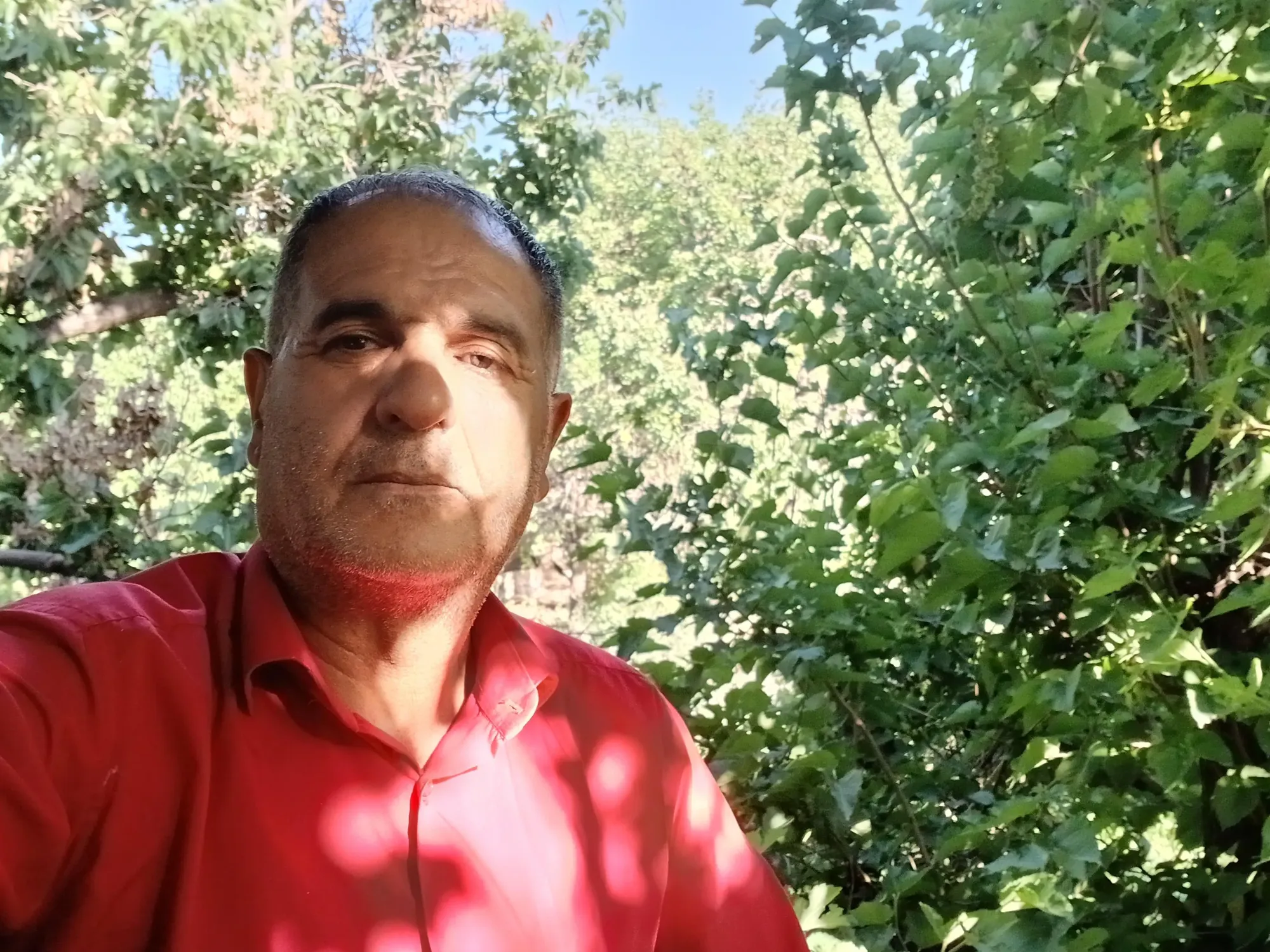 علی دادگری