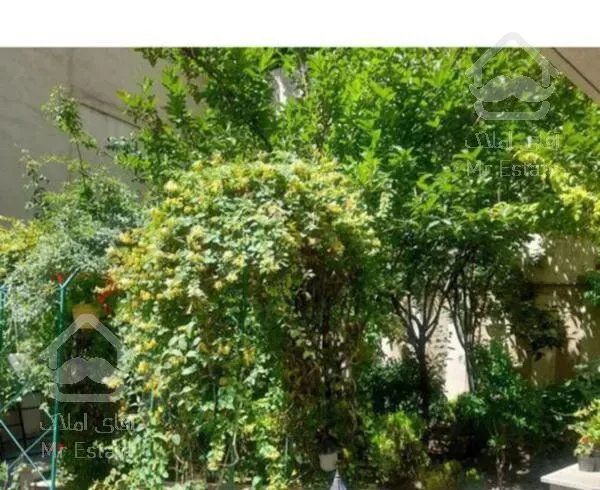 ٩٨متردوخوابه