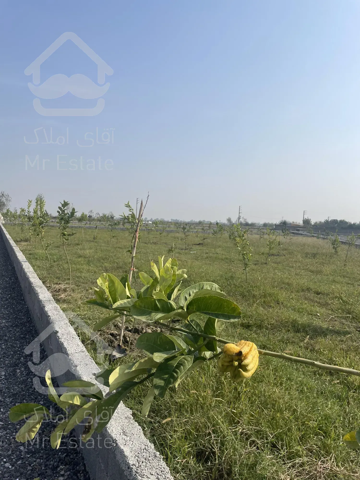 ۷۰۰ متر باغ شهرکی