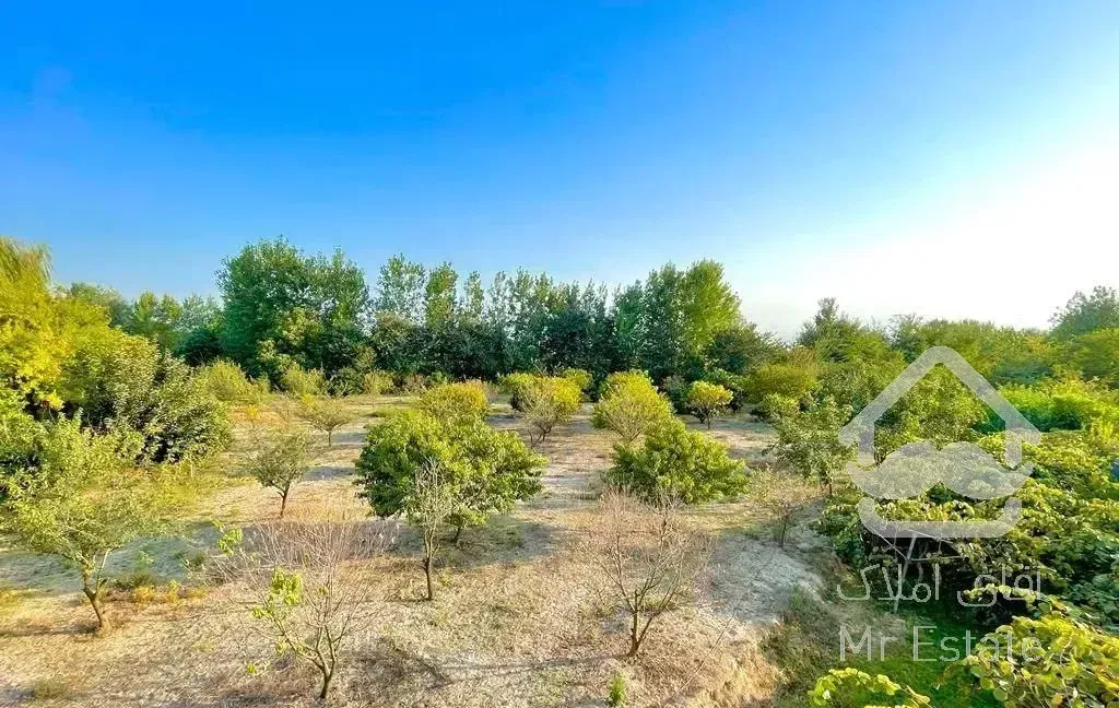 نیم پیلوت نما مدرن