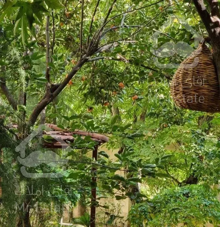 طراحی و اجرای فضای سبز