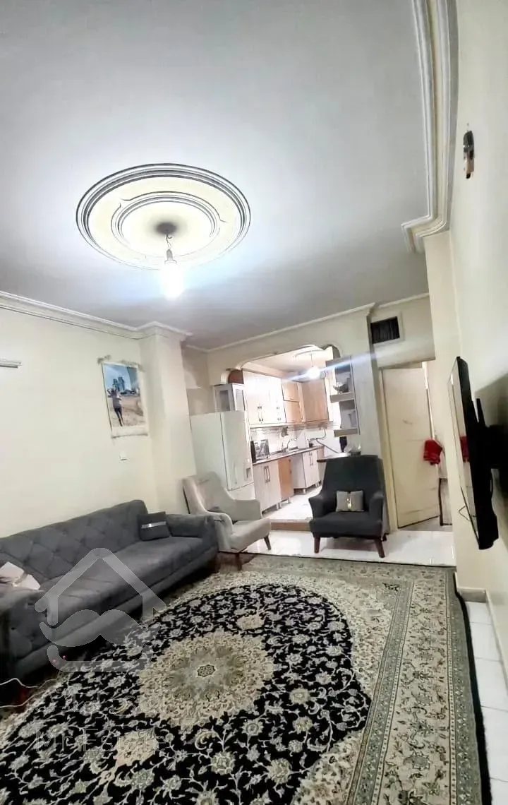 ۴۷ متری/ نقلی/وصفنارد