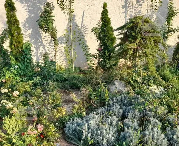 ۶۵۰ متر ویلا باغ شیک ابسرد