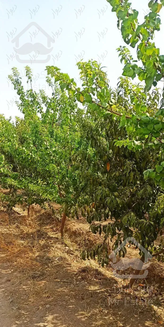 باغ‌ویلا کهریزسنگ گل مینا برآسفالت