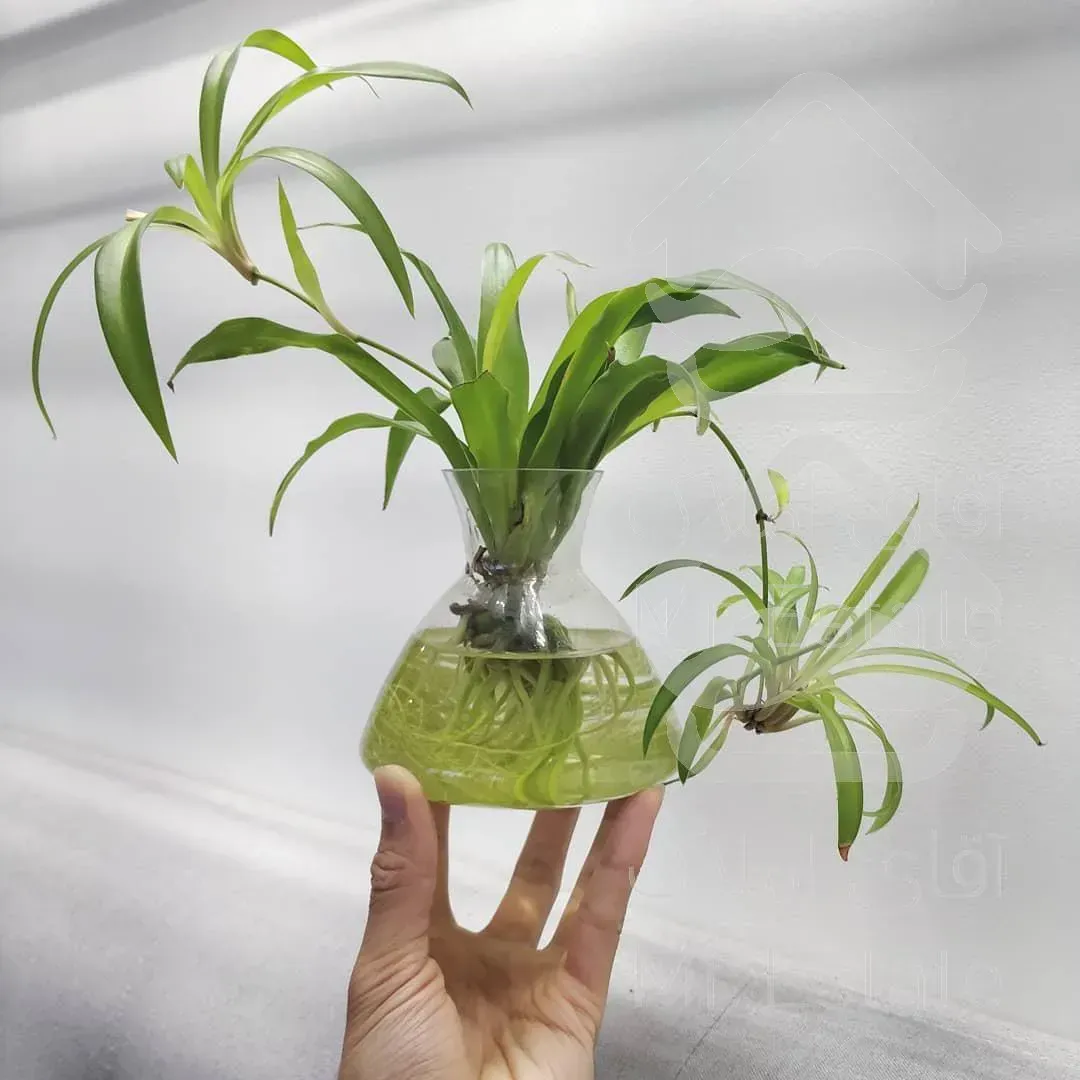 تنور گلی باکیفیت تهیه شده با موی بز