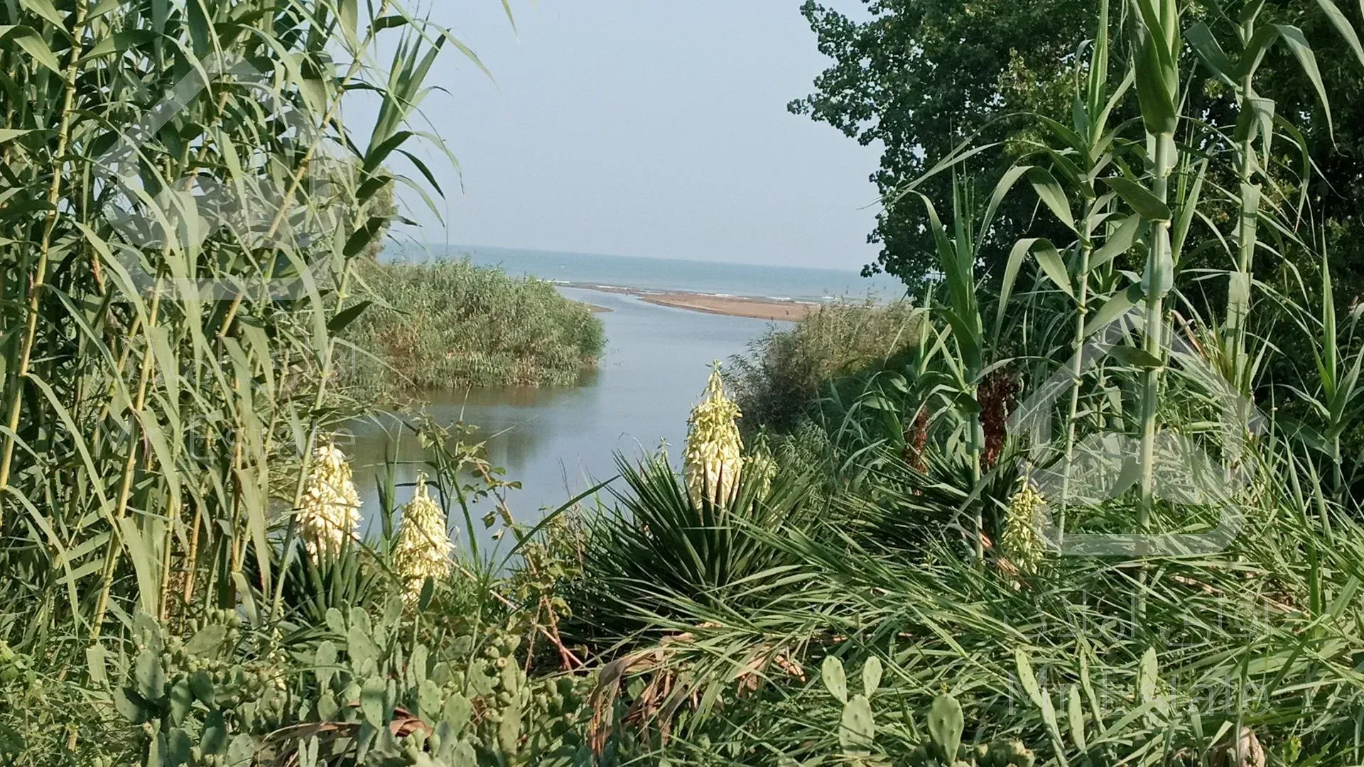 خرید باغ ویلا ۸۸۰ متری پلاک یک دریا در ساری جاده پلاژ